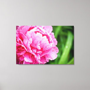 Toile pivoine rose
