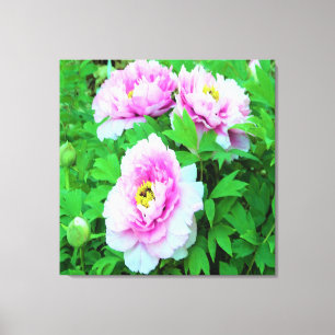 Toile Pivoines arbustives roses élégantes avec centre ja