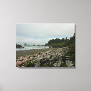 Toile Plage cachée I du parc national de Redwood