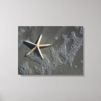 Toile Plage Starfish Canvas