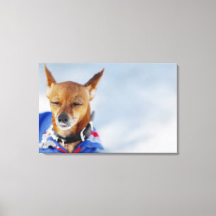 Toile Plan rapproché d'un chien 2