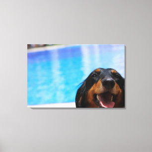 Toile Plan rapproché d'un halètement de chien de tecke