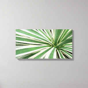 Toile Plante Agave Vert et blanc rayé