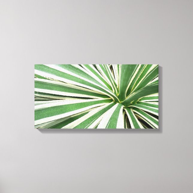 Toile Plante Agave Vert et blanc rayé (Recto)