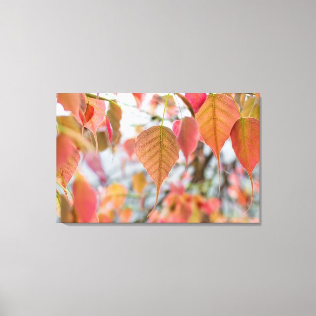 Toile Plante Asathu Baby Feuilles Charger bouddha (Recto)