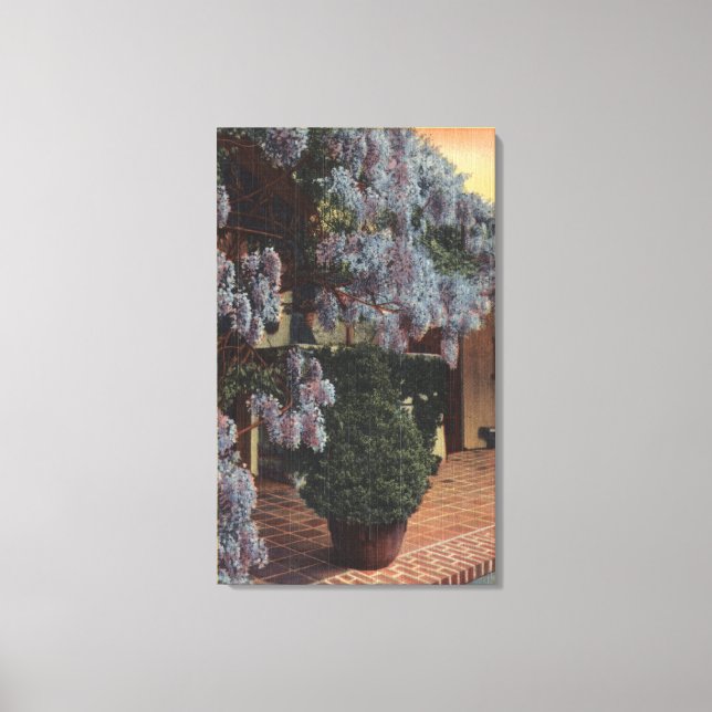 Toile Plante CaliforniaWisteria en Bloom (Recto)