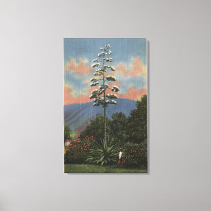 Toile Plante californien en fleurs