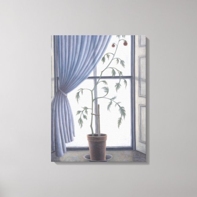 Toile Plante dans Windows 2003 (Recto)