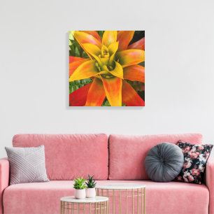 Toile Plante florale de bromélie Guzmania