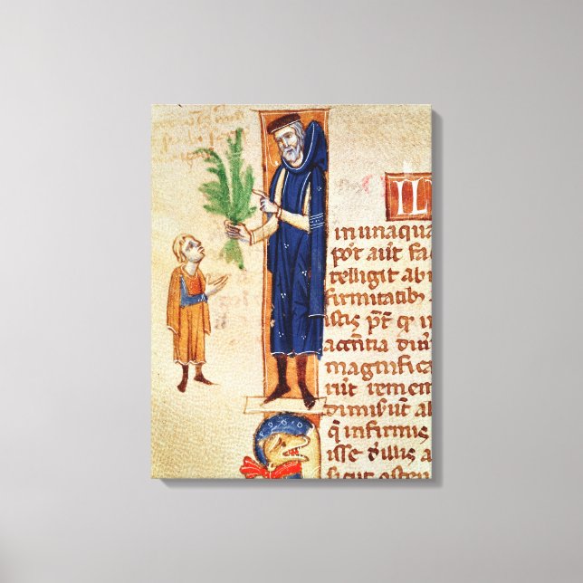 Toile Plantes médicinal (Recto)