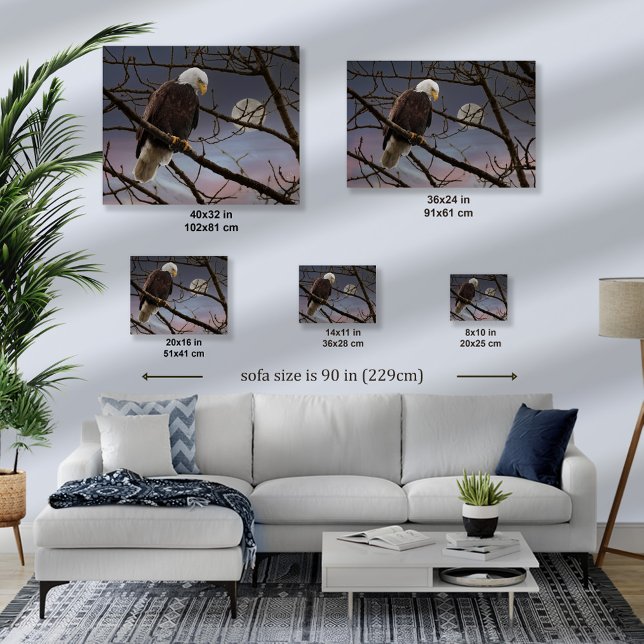 Toile Pleine lune Majestic Bald Eagle - Art de la faune (Bald Eagle over Full Moon - different sizes)