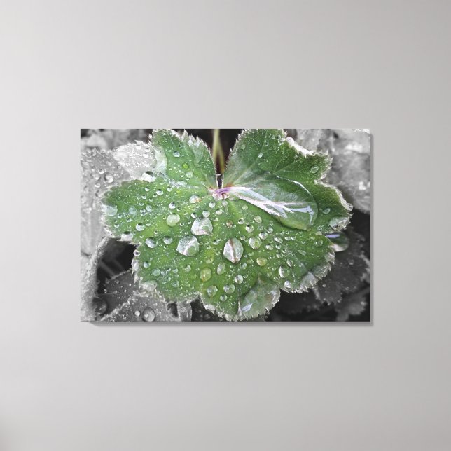 Toile pluie lourde (Recto)