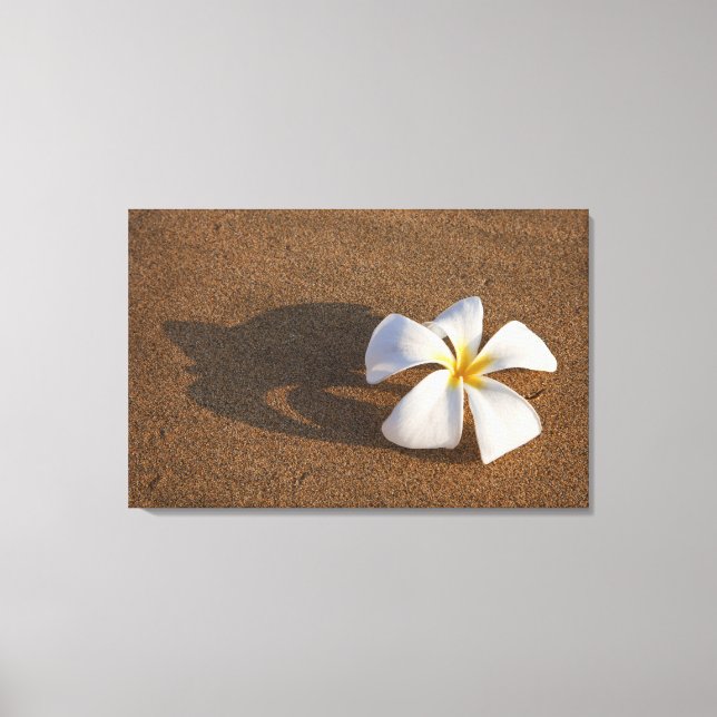 Toile Plumeria sur plage de sable, Maui, Hawaii, États-U (Recto)