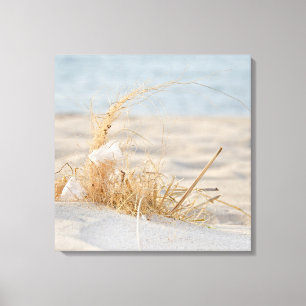 Toile Plumes blanches dans l'herbe de plage