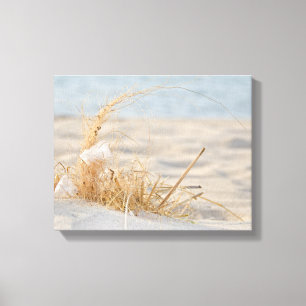 Toile Plumes blanches dans l'herbe de plage