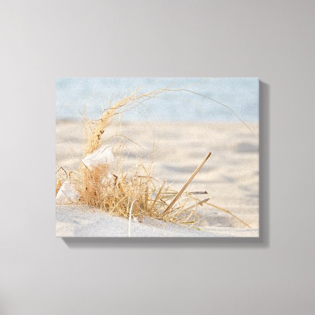 Toile Plumes blanches dans l'herbe de plage (Recto)