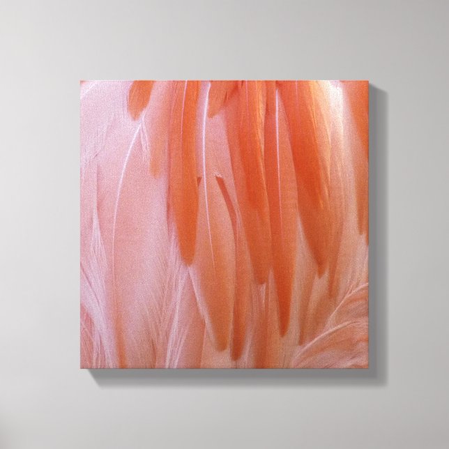 Toile Plumes de Flamant rose dans les tons roses (Recto)