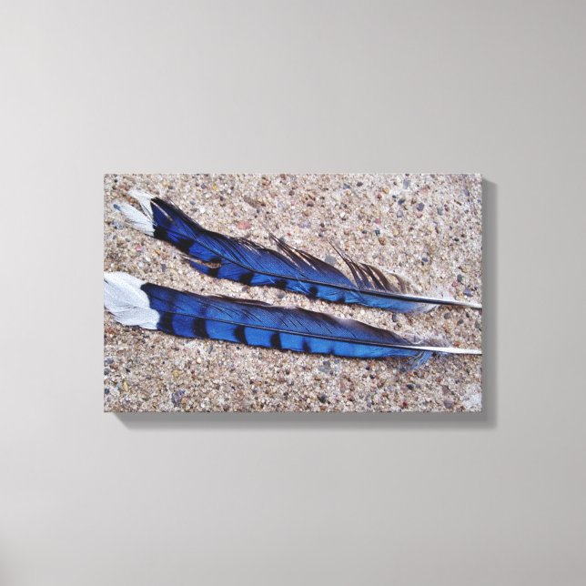 Toile Plumes d'oiseau Blue Jay (Recto)