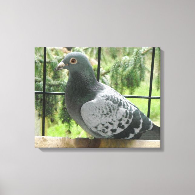 Toile Poing Pigeon (Recto)