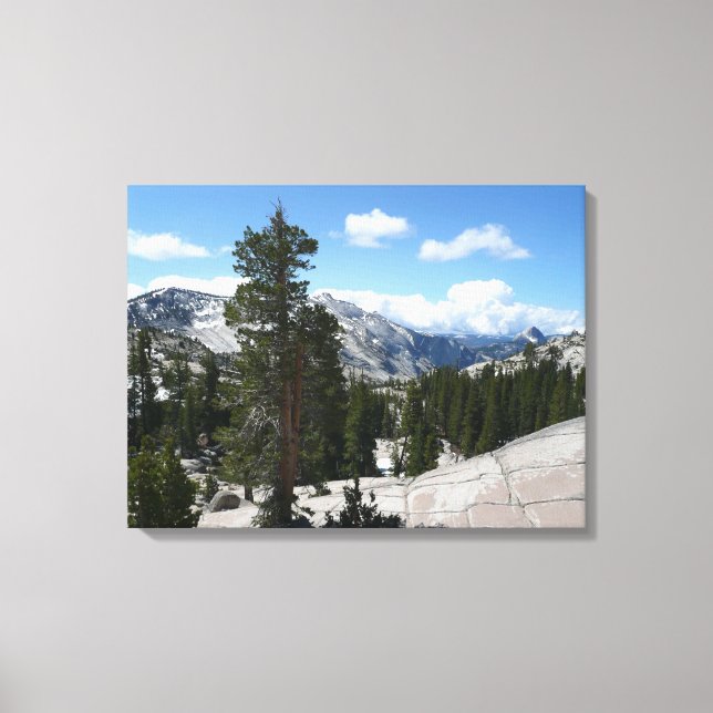 Toile Point III d'Olmsted dans le parc national Yosemite (Recto)