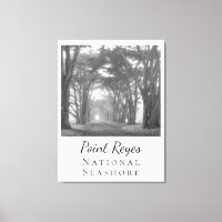 Point Reyes