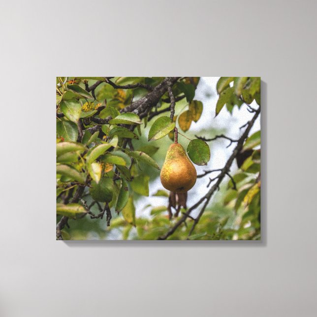 Toile Poire Bosc Sur L'Arbre (Recto)