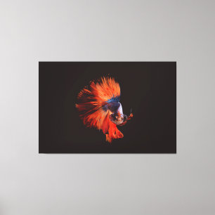 Toile Poisson Betta