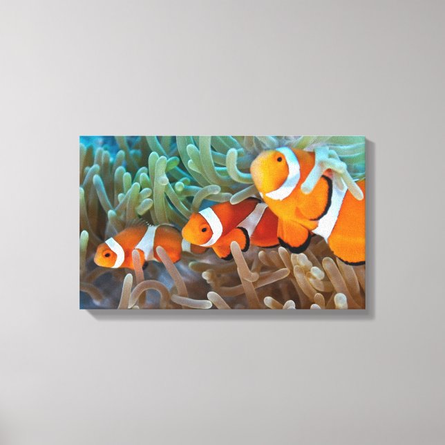 Toile Poisson clown (Recto)