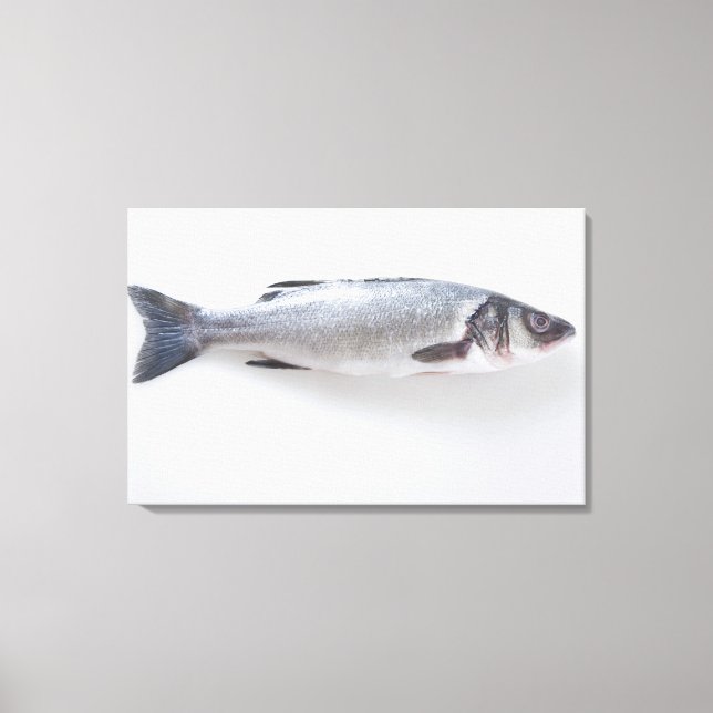 Toile Poisson de ramizini entier (Recto)