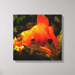 Toile Poisson doré