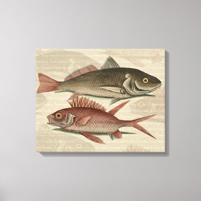 Toile Poisson Perche rouge Art pêcheur (Recto)