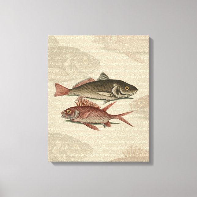 Toile Poisson Perche rouge Art pêcheur (Recto)