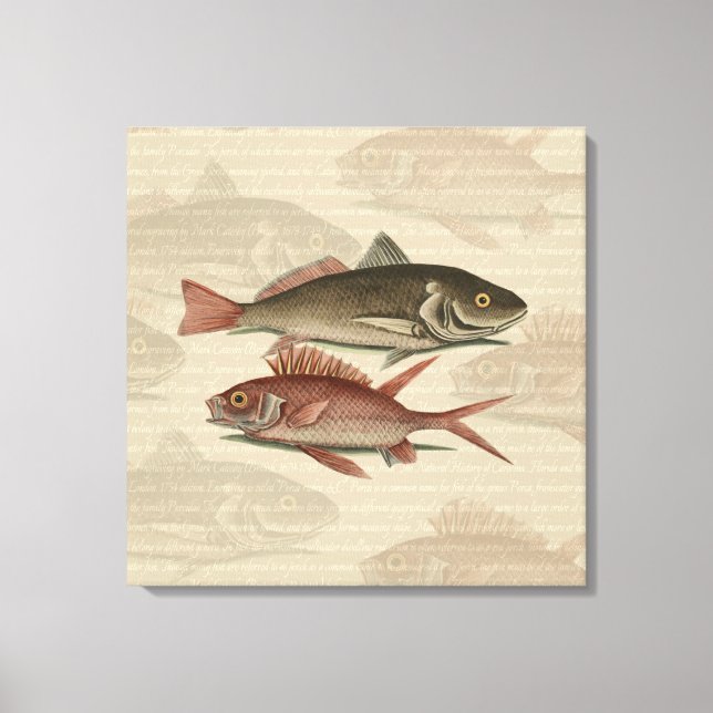 Toile Poisson Perche rouge Art pêcheur (Recto)