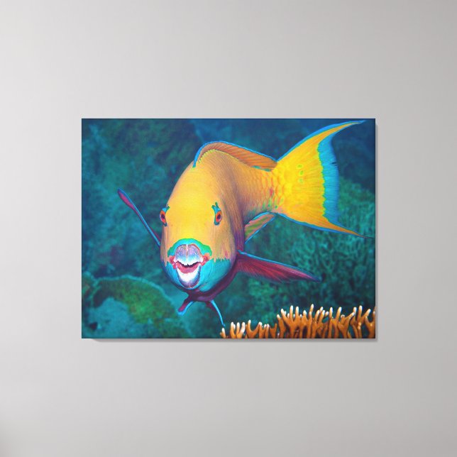 Toile Poisson-perroquet - Maquillage frappant! Photo col (Recto)