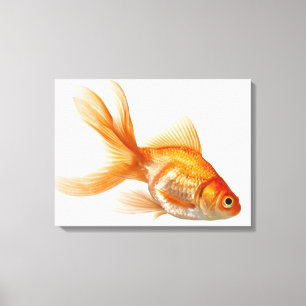 Toile Poisson rouge de fantaisie