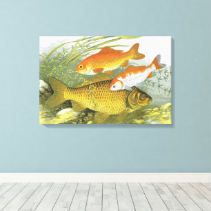 Toile Poisson vintage Koi Poisson, Marine Aquatique Vie 