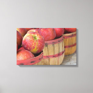 Toile pommes dans des paniers de boisseaux