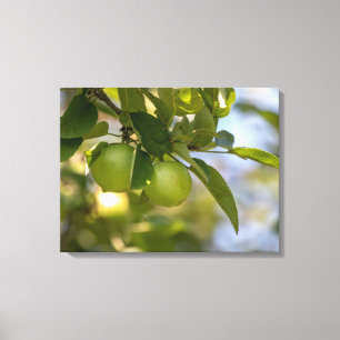 Toile Pommes sur une branche