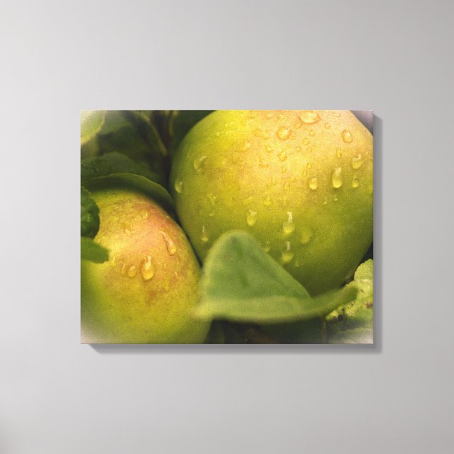 Toile Pommes vertes fraîches avec gouttelettes d'eau (Recto)