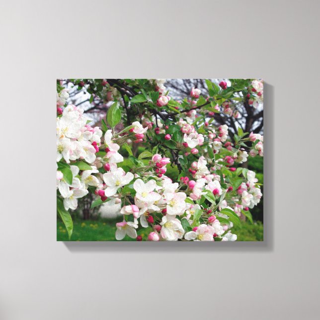 Toile Pommier fleurit. (Recto)