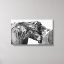 Ponies Scratch