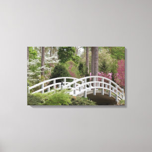 Toile Pont Spring