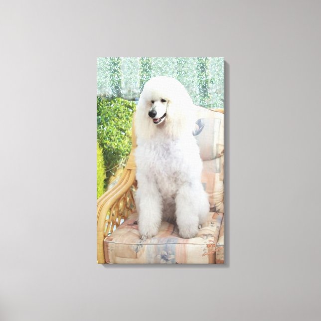 Toile Poodle blanc (Recto)