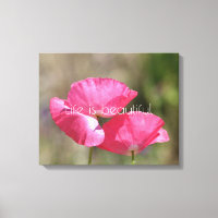 Poppies roses