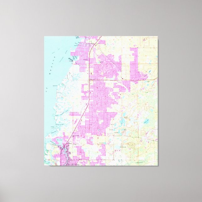 Toile Port Richey & New Port Richey Florida Map (1954) (Recto)