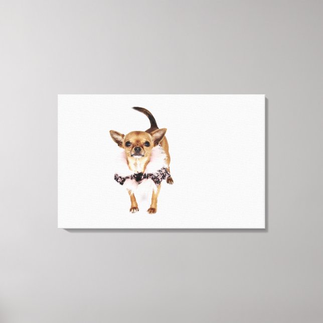 Toile Portrait bizarre d'une Teacup Chihuahua (Recto)