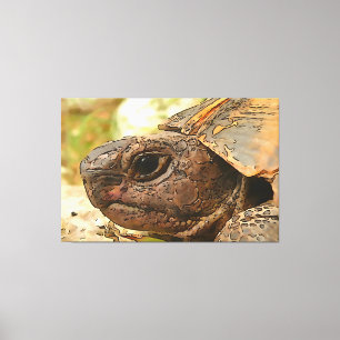 Toile Portrait Côté Gros D'Une Tortue Turque