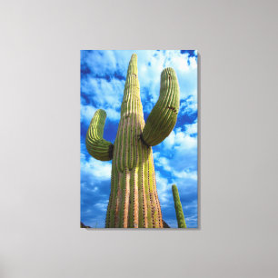 Toile Portrait de cactus saguaro, Arizona