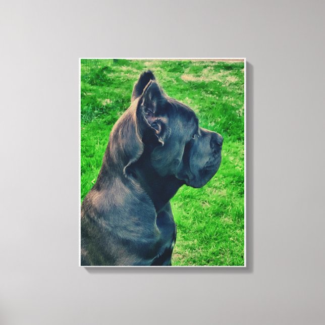 Toile Portrait de Cane Corso (Recto)