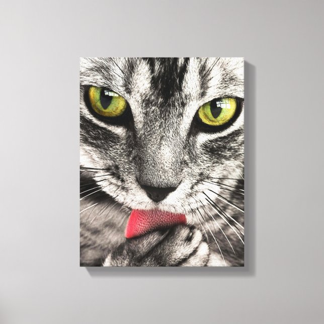 Toile Portrait de chat mignon. Personnaliser l'impressio (Recto)